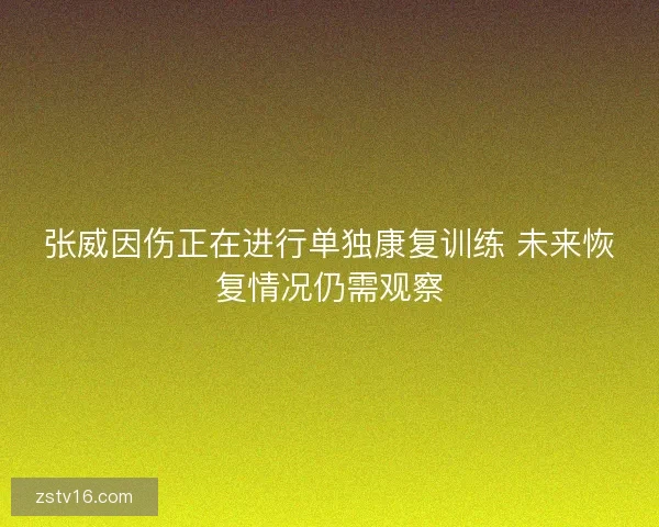 张威因伤正在进行单独康复训练 未来恢复情况仍需观察