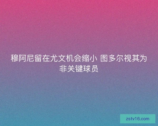 穆阿尼留在尤文机会缩小 图多尔视其为非关键球员