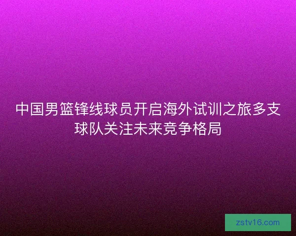 中国男篮锋线球员开启海外试训之旅多支球队关注未来竞争格局